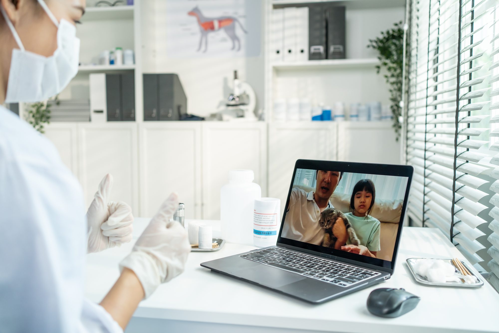 A clinician at a desk conducting a video consultation, an owner holding a cat visible on the screen