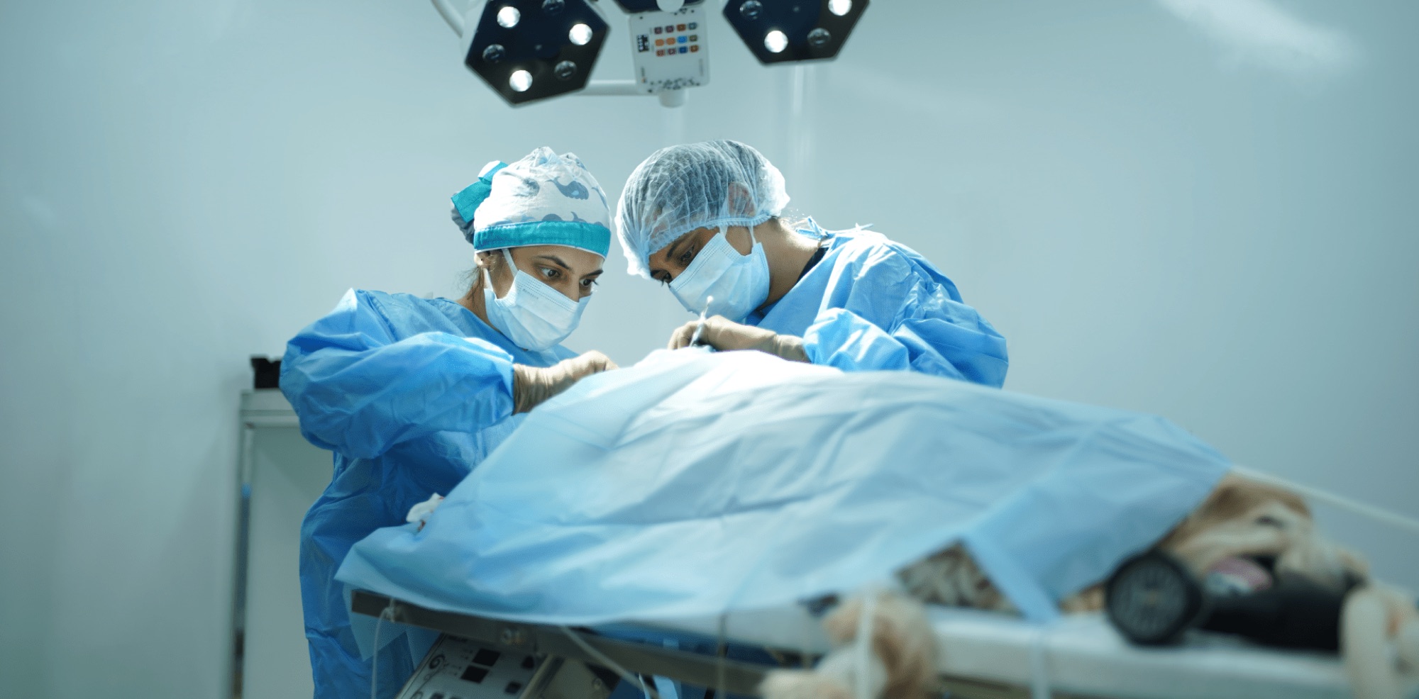 Two gowned and masked surgeons working over a draped anaesthetised patient